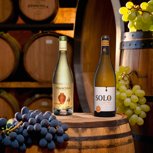 Sunshine & Wine 2022